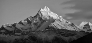 The Complete Beginner's Guide to Teen Patti